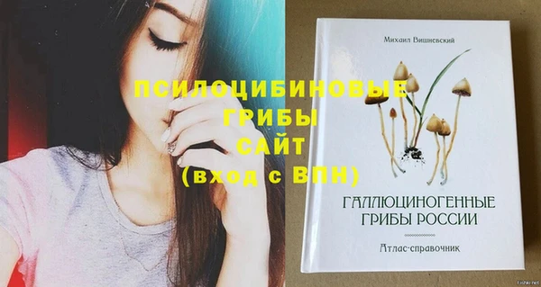 бошки Алексин
