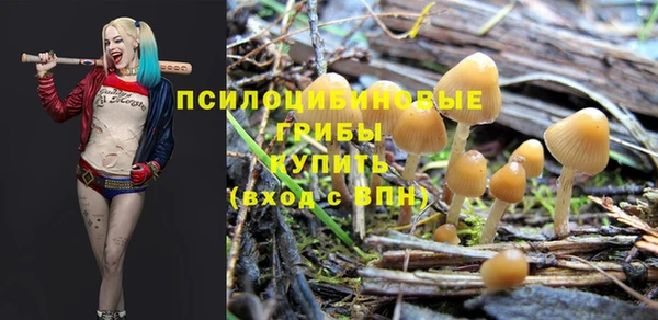 соль курить ск Алзамай