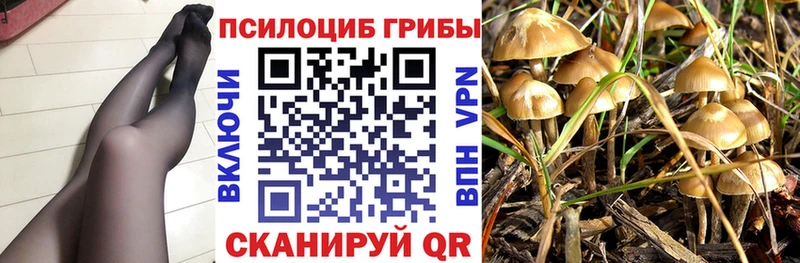 Галлюциногенные грибы Psilocybine cubensis  купить закладку  OMG онион  Ессентукская 